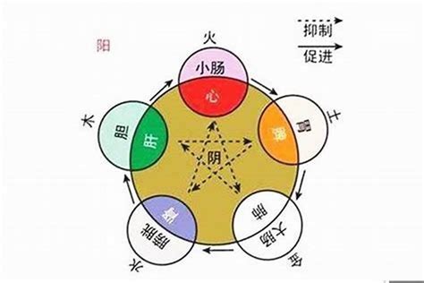 自己屬性|如何知道一個人的五行屬什么